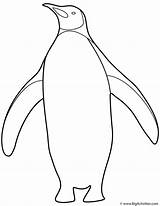 Penguin Coloring Pages sketch template