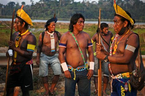 Indigenous groups in the Amazon evolved resistance to deadly Chagas » Bussines & Technology News ...
