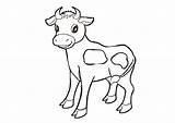 Cow Print Coloring Sheets sketch template