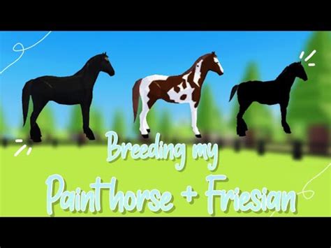BREEDING MY PAINT HORSE+FRIESIAN!-Horse Valley Roblox - YouTube