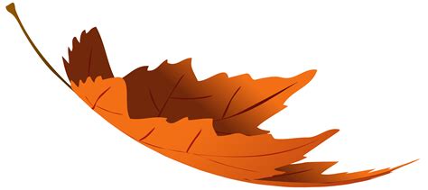 Autumn leaf color Autumn leaf color Clip art - autumn leaves png ...