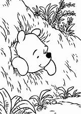 Pooh Bear Color Pages  Coloring Home sketch template