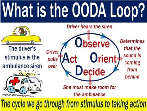 OODA Loop - definition and meaning - Market Business News