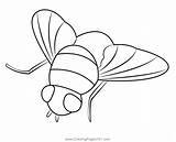 Blue Bottle Fly Coloring Page For Kids  Free Butterflies Printable sketch template