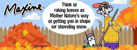 Raking leaves | Interesting Quotes and Funny Sayings | Pinterest | Leaves