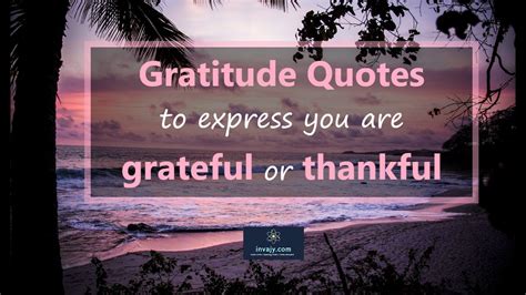 111 Gratitude Quotes to express you are grateful or thankful