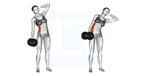 Dumbbell Side Bend - Guide, Benefits, and Form