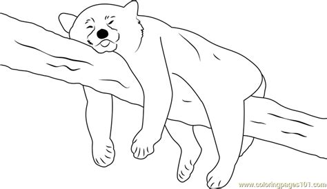 Panda Sleeping On Tree Coloring Page for Kids - Free Red Panda ...