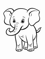 25 Elephant Coloring Pages Free Sheets sketch template