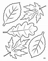 Fall Crafts For Kids Autumn Art Thanksgiving  sketch template