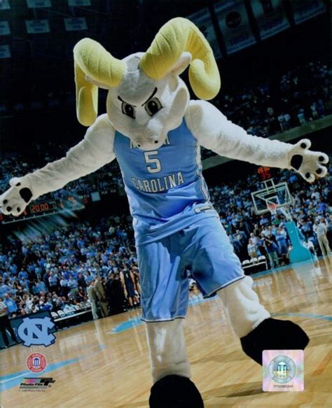 North Carolina Tar Heels Mascot Rameses Licensed NCAA Unsigned Glossy ...