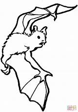 Ausmalbild Fledermaus Im Anflug  Ausmalbilder Kostenlos Zum Ausdrucken sketch template