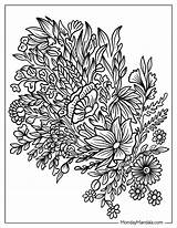 30 Zentangle Coloring Pages Free PDF Printables sketch template