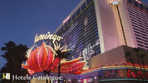 Flamingo Las Vegas Hotel - Caesars Entertainment - Las Vegas Hotel Tour - YouTube