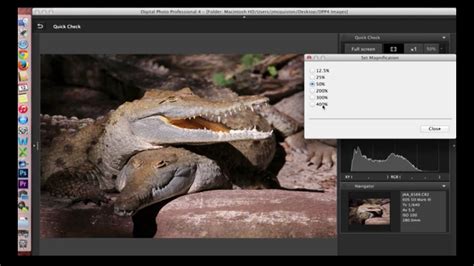 Canon Digital Photo Professional (DPP) 4: Software Overview and ...