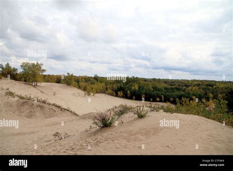 Sandbanks Provincial Park Stock Photo - Alamy