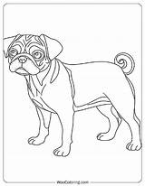 100  Pug coloring pages Free PDF To Print Woo Coloring sketch template