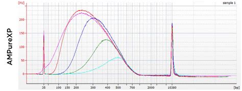 AMPure XP Performance, PCR Purification