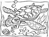 Free Printable Ocean Coloring Pages For Kids sketch template