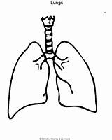 Lung Coloring Pages sketch template