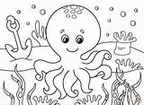 Octopus Printable Coloring Pages  Portal Tribun sketch template