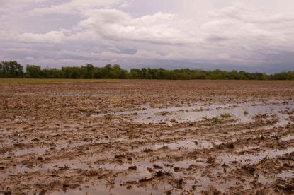 Leaching In Plants And Soil - What Is Leaching | Gardening Know How