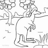 Printable Kangaroo Coloring Pages For Kids  Cool2bKids sketch template