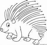 Porcupine Coloring Pages 17 Free Printables  ColoringAll sketch template