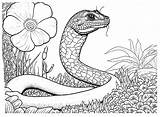 20  Python Coloring Pages Free Printable PDF & Online sketch template