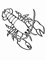 Crawfish Coloring Coloring Pages sketch template