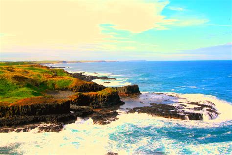 Phillip Island Beaches - Everything You Need To Know | Island beach, Phillips island, Australia ...