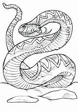 Rattlesnake Coloring Pages Printable sketch template