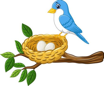 Animated Bird Nest