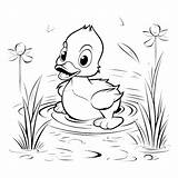 Premium Vector  Baby Duck Coloring Pages Drawing For Kids sketch template