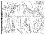 Habitats Rainforest Coloring Page Collection By Edmonston Studios sketch template