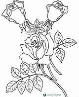 Flower Coloring Pages sketch template
