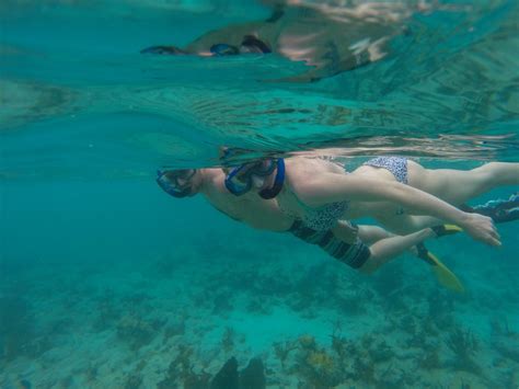 The Secret Coral Garden: Virgin Islands Coral Reef Monument | Cruz Bay ...