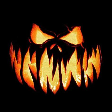 15 Easy And Amazing Pumpkin Carving Ideas You Can Do Yourself | Calabazas de halloween, Calabaza ...