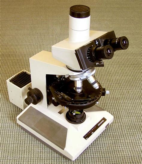 Polarizing Petrographic Microscopes