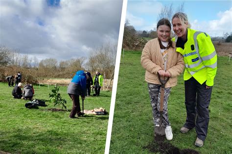 Trees planted at Stafford park in celebration of wildlife and charity ...