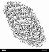 daisy Flower daisies outline Vector Design In Detailed Line art  sketch template