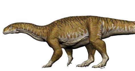 Giant dinosaur bones get paleontologists rethinking Triassic period