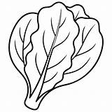 A coloring Page Of An Food spinach With No color Just Black Lines  sketch template