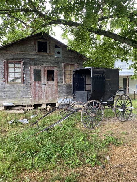 Top 5 Farms To Visit: An Amish Community in Tennessee | Daybook