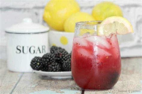 Blackberry Lemonade Recipe | Teaspoon Of Goodness