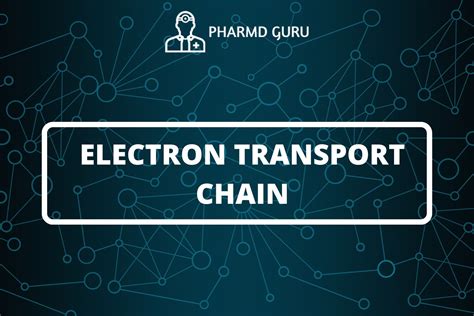 17. ELECTRON TRANSPORT CHAIN - PHARMD GURU