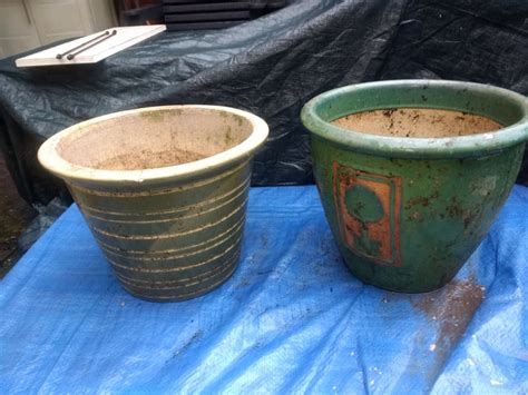 Nine ceramic plant pots | in South Shields, Tyne and Wear | Gumtree