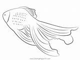 Veiltail Goldfish Coloring Page For Kids  Free Goldfishes Printable sketch template