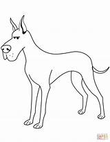 Funny Great Dane coloring Page  Free Printable Coloring Pages sketch template