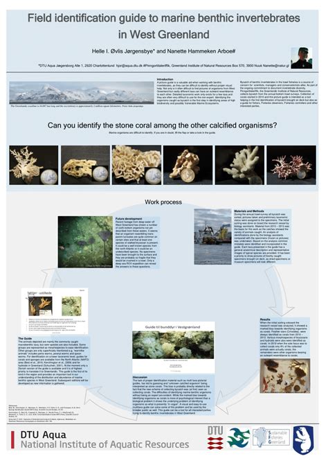 (PDF) Field identification guide to marine benthic invertebrates in West Greenland